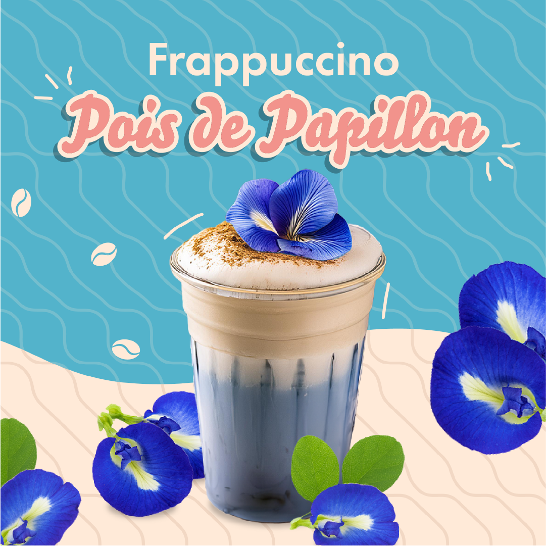 post_KoiCafe-PoisdePapillon.webp