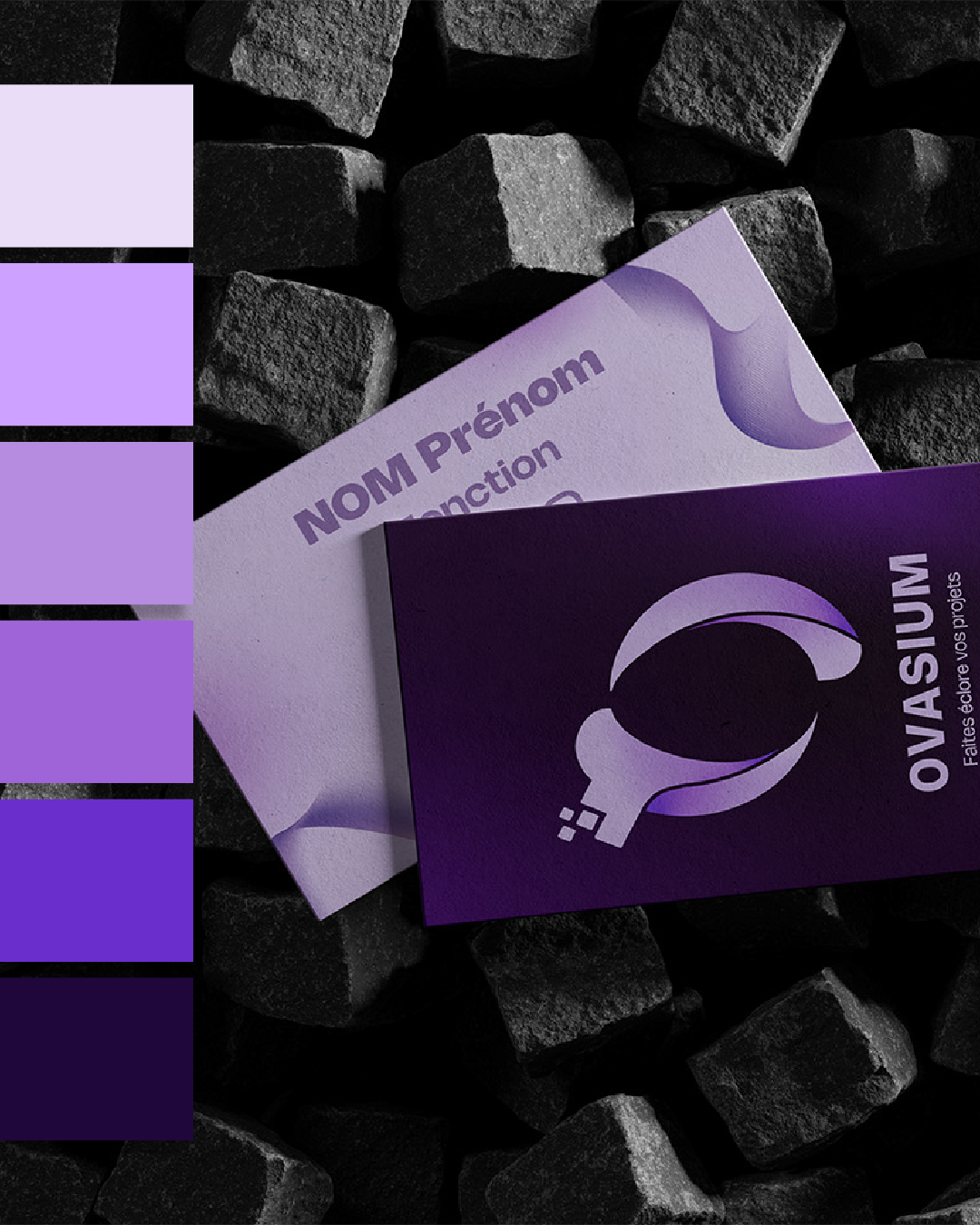 Ovasium-03.webp